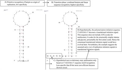 Evolution of Nucleotide Punctuation Marks: From Structural to Linear Signals